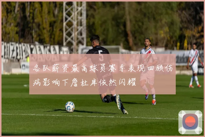 各队薪资最高球员赛季表现回顾伤病影响下詹杜库依然闪耀