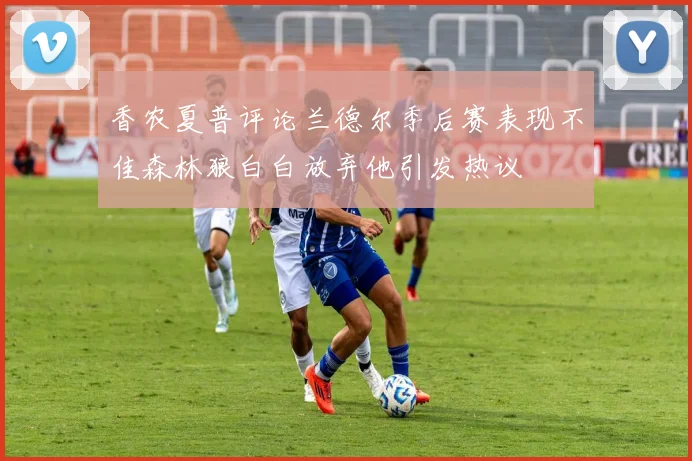 香农夏普评论兰德尔季后赛表现不佳森林狼白白放弃他引发热议